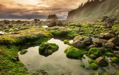 Olympic National Park